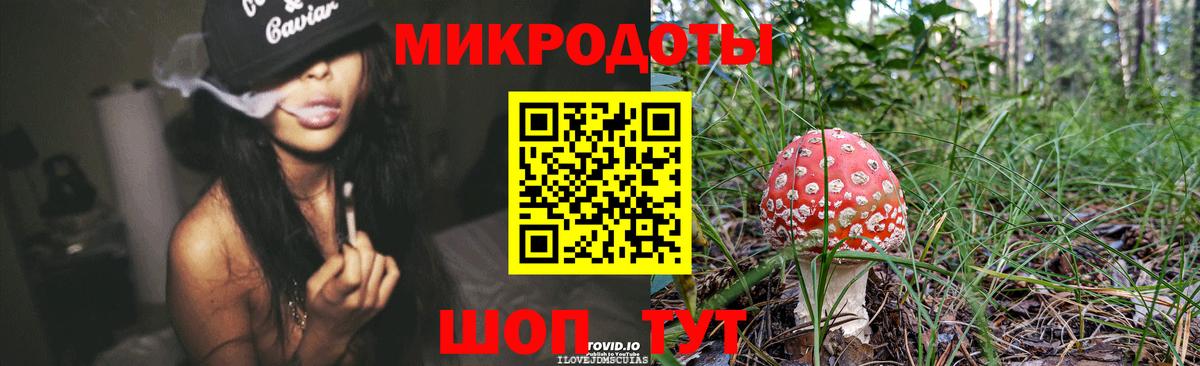 Псилоцибиновые грибы мухоморы  Вход с VPN  цена наркотик  Прохладный  Галлюциногенные грибы GOLDEN TEACHER 