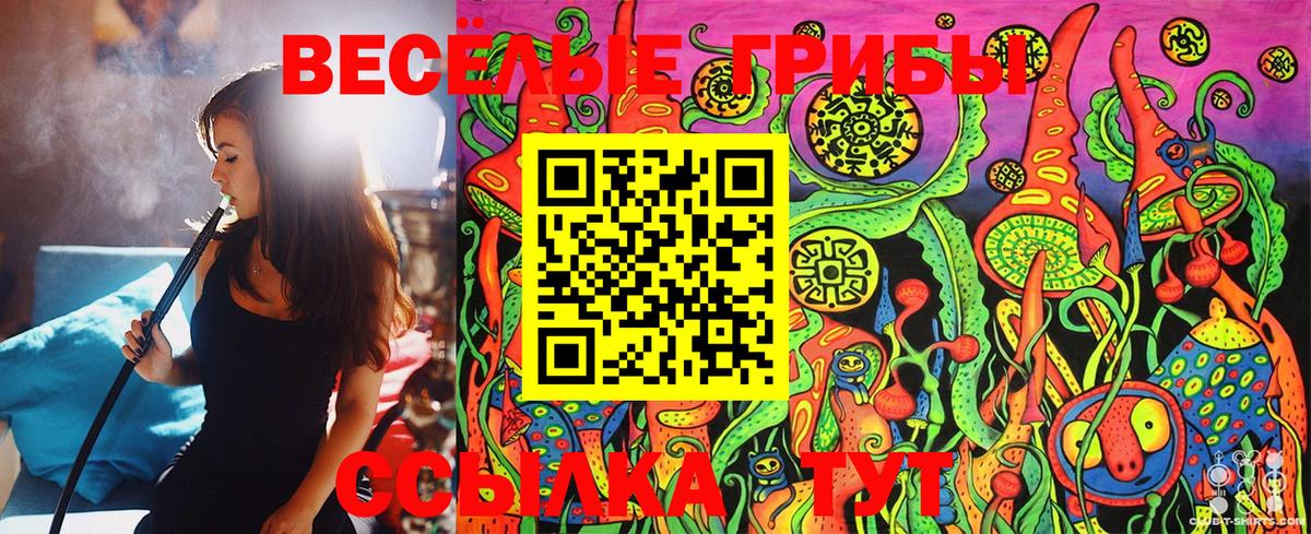 Псилоцибиновые грибы Psilocybine cubensis Прохладный